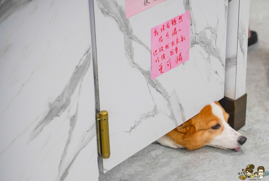 玖肆鴨霸 小琉球必吃 小琉球美食 鴨肉 熱炒 鮮味 新鮮 圓桌 聚餐 聚會 潛水客推薦