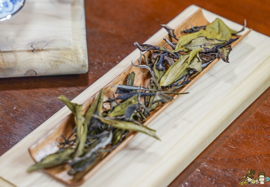 無菜單 高雄無菜單 地中海料理 桑卓主廚 文山特區 限定 限量 紅酒 咖啡 茶飲