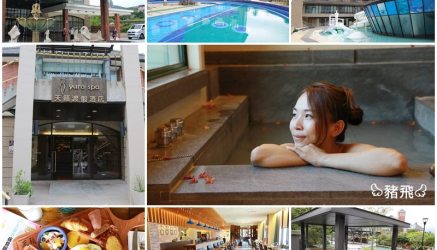 è±¬é£›å°å§