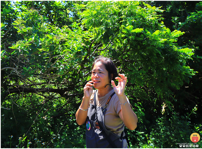 屏東一日遊|水蛙窟香草包療癒DIY!恆春古城實境解謎慢慢遊! 屏東一日遊|水蛙窟香草包療癒DIY!恆春古城實境解謎慢慢遊!