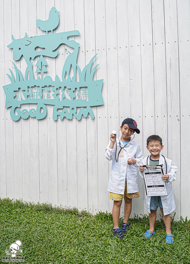 高雄牧場 戶外 放電 親子 景點 橋頭 實習生 水流莊牧場 可愛動物 休閒 旅遊 小牧羊人 體驗