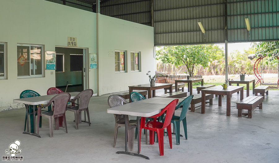 高雄牧場 戶外 放電 親子 景點 橋頭 實習生 水流莊牧場 可愛動物 休閒 旅遊 小牧羊人 體驗