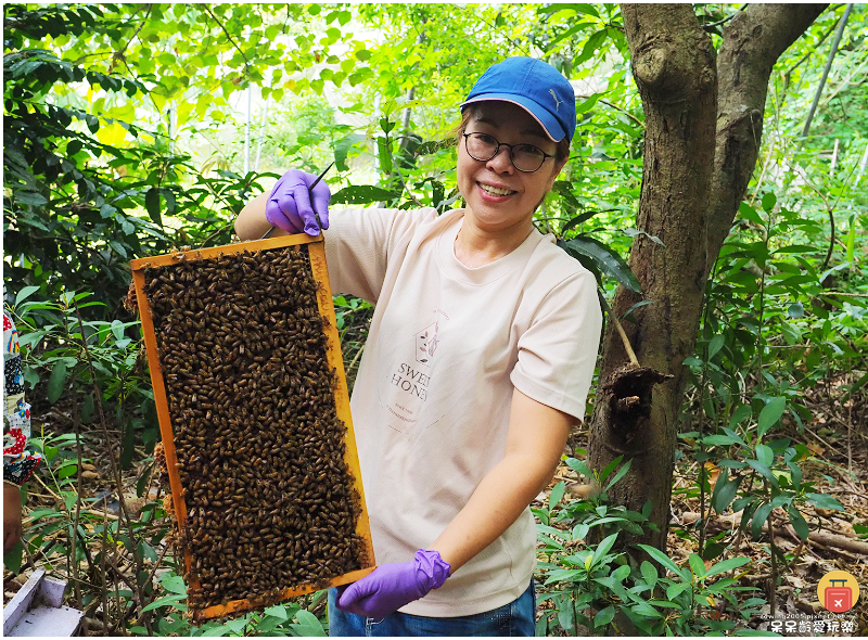高雄旅行｜甜蜜蜂坊Sweet Honey！體驗神秘養蜂蜂場！