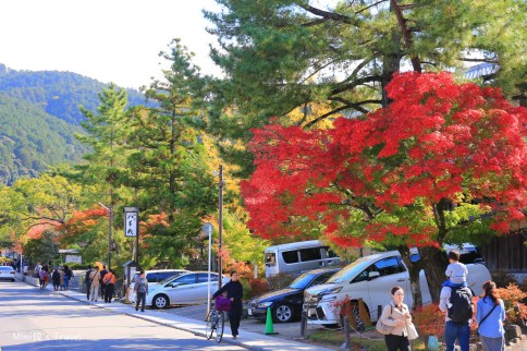 京都租車推薦＆京都租車自駕事項全攻略：一分鐘便宜比價，自駕玩京都超方便！
