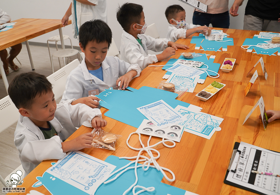 高雄牧場 戶外 放電 親子 景點 橋頭 實習生 水流莊牧場 可愛動物 休閒 旅遊 小牧羊人 體驗