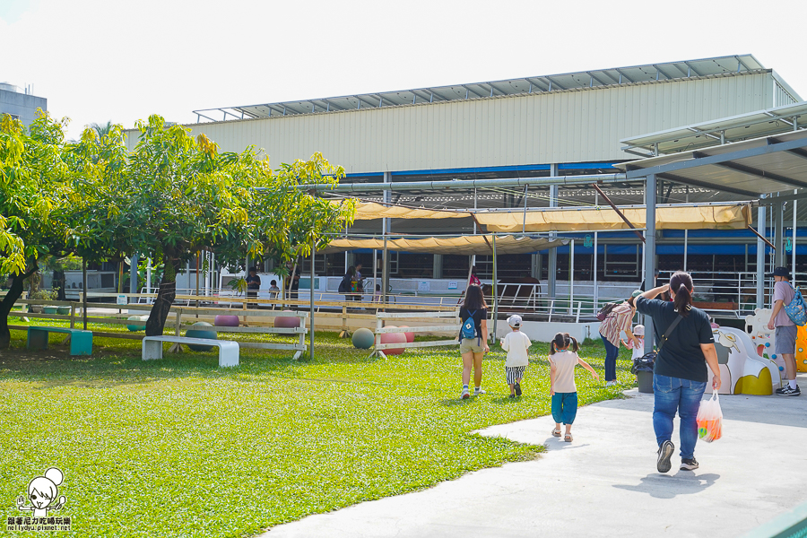 高雄牧場 戶外 放電 親子 景點 橋頭 實習生 水流莊牧場 可愛動物 休閒 旅遊 小牧羊人 體驗
