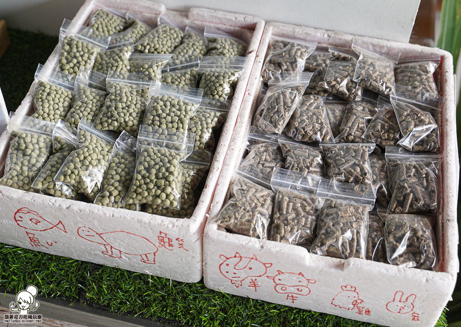 高雄牧場 戶外 放電 親子 景點 橋頭 實習生 水流莊牧場 可愛動物 休閒 旅遊 小牧羊人 體驗