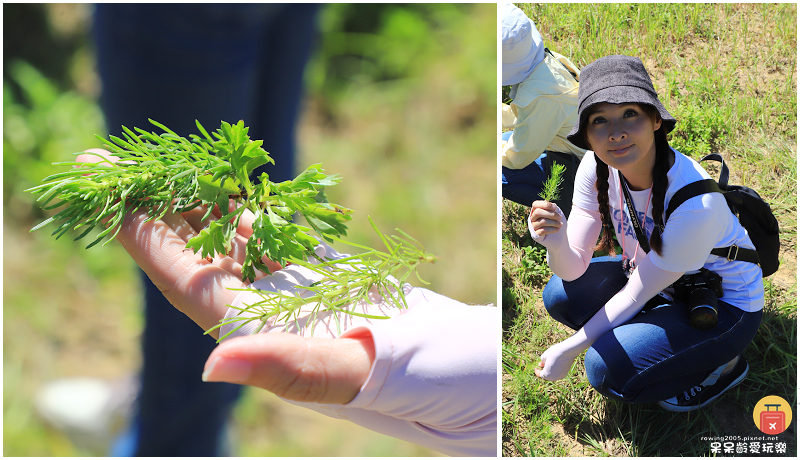 屏東一日遊|水蛙窟香草包療癒DIY!恆春古城實境解謎慢慢遊! 屏東一日遊|水蛙窟香草包療癒DIY!恆春古城實境解謎慢慢遊!