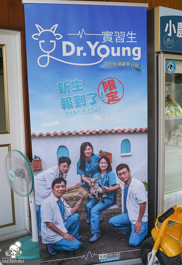 高雄牧場 戶外 放電 親子 景點 橋頭 實習生 水流莊牧場 可愛動物 休閒 旅遊 小牧羊人 體驗