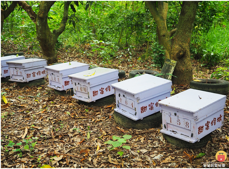 高雄旅行｜甜蜜蜂坊Sweet Honey！體驗神秘養蜂蜂場！