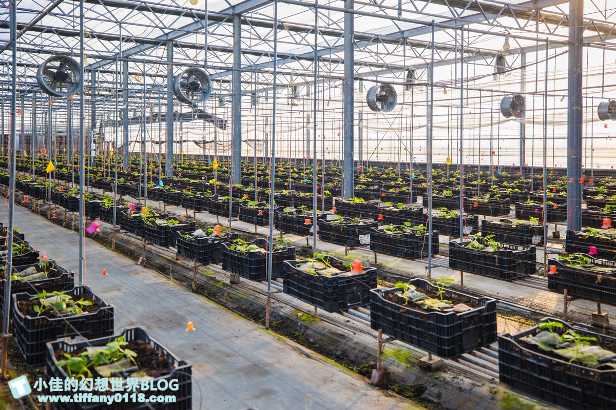 [雲林景點]期間限定雲林厚工學、鐵花窗、微醺農場/帶你看見不一樣的雲林之美