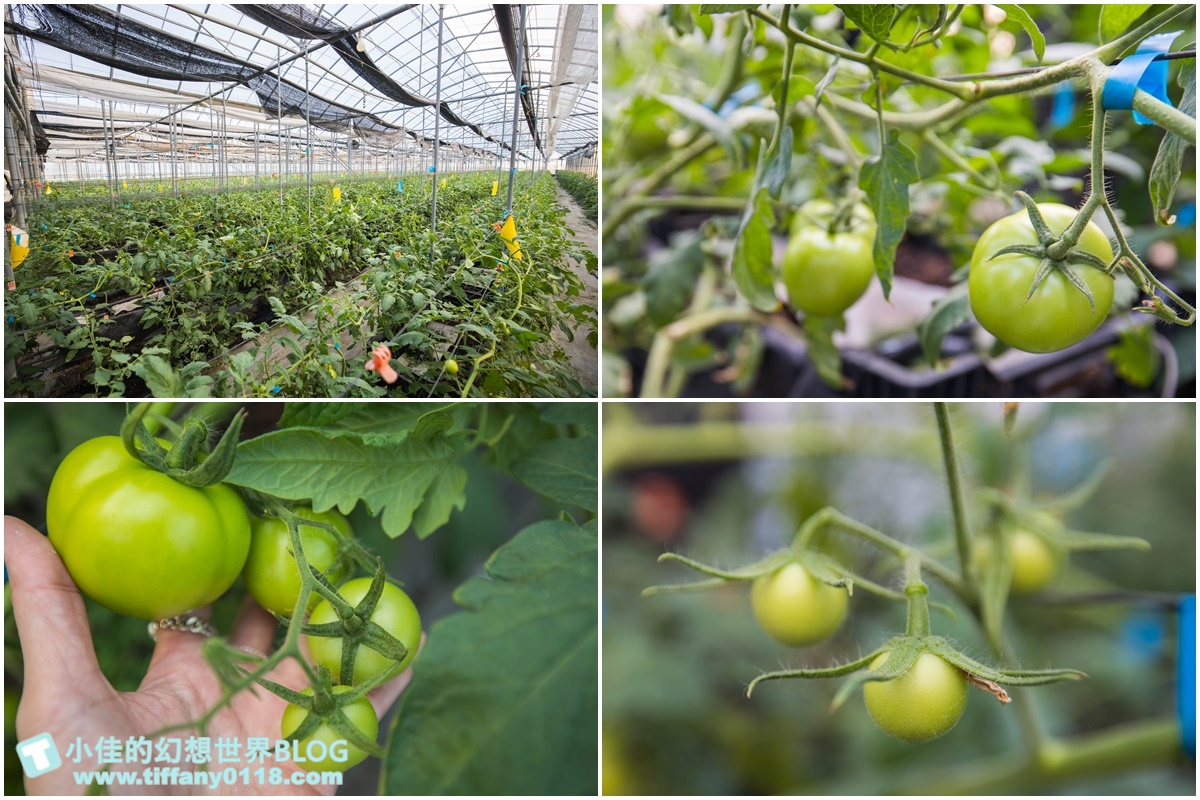 [雲林景點]期間限定雲林厚工學、鐵花窗、微醺農場/帶你看見不一樣的雲林之美