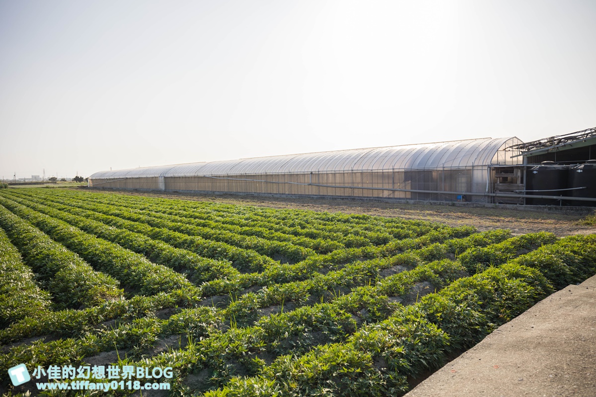 [雲林景點]期間限定雲林厚工學、鐵花窗、微醺農場/帶你看見不一樣的雲林之美