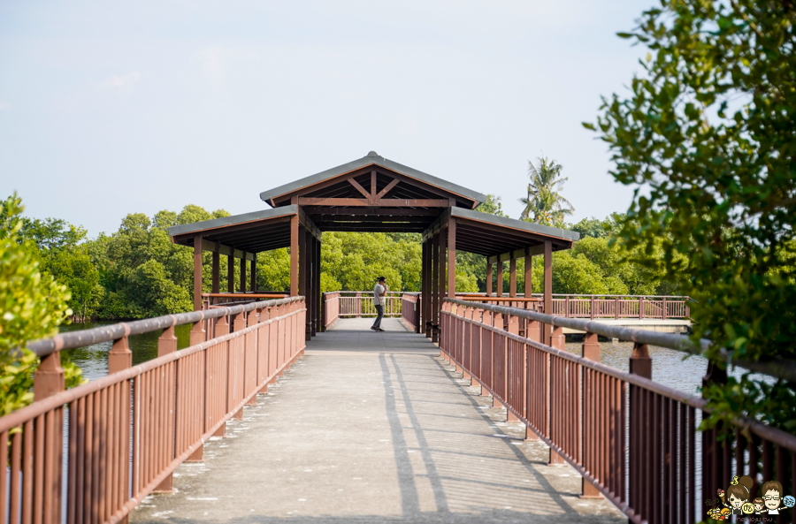 大鵬灣 旅遊 環境保育 環境 濕地 公園 親子 教育 互動 遊客中心 必遊 好玩 生態 鳥