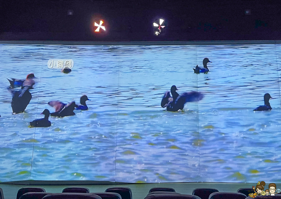 大鵬灣 旅遊 環境保育 環境 濕地 公園 親子 教育 互動 遊客中心 必遊 好玩 生態 鳥