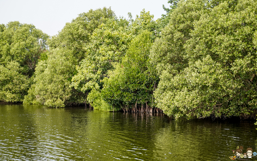 大鵬灣 旅遊 環境保育 環境 濕地 公園 親子 教育 互動 遊客中心 必遊 好玩 生態 鳥