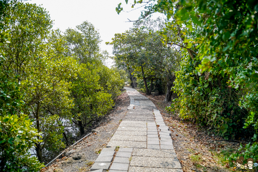 大鵬灣 旅遊 環境保育 環境 濕地 公園 親子 教育 互動 遊客中心 必遊 好玩 生態 鳥