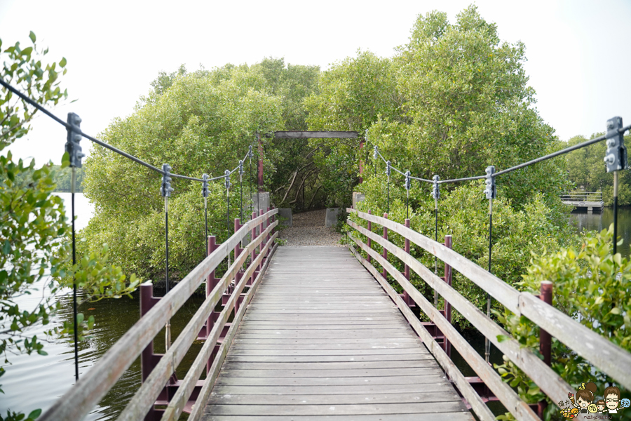 大鵬灣 旅遊 環境保育 環境 濕地 公園 親子 教育 互動 遊客中心 必遊 好玩 生態 鳥