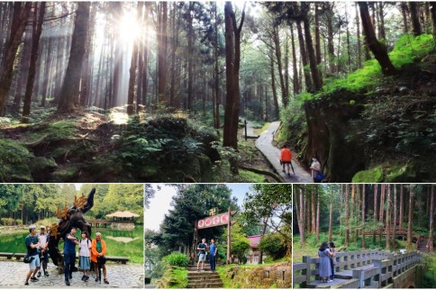 嘉義阿里山森林遊樂區(附交通&優惠門票)：巨木棧道/姊妹潭/香林神木享受滿滿芬多精