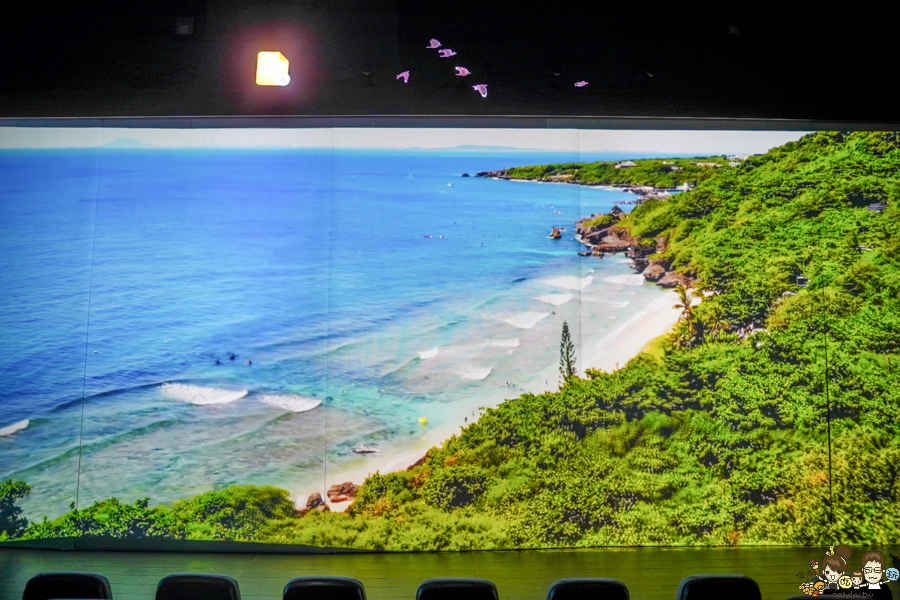 大鵬灣 旅遊 環境保育 環境 濕地 公園 親子 教育 互動 遊客中心 必遊 好玩 生態 鳥