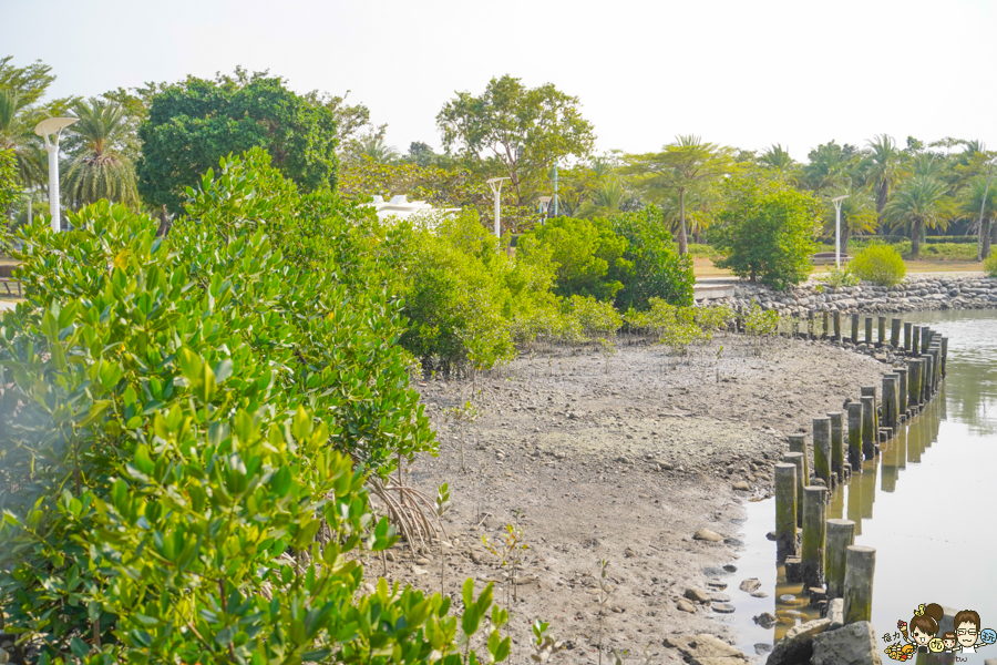 大鵬灣 旅遊 環境保育 環境 濕地 公園 親子 教育 互動 遊客中心 必遊 好玩 生態 鳥
