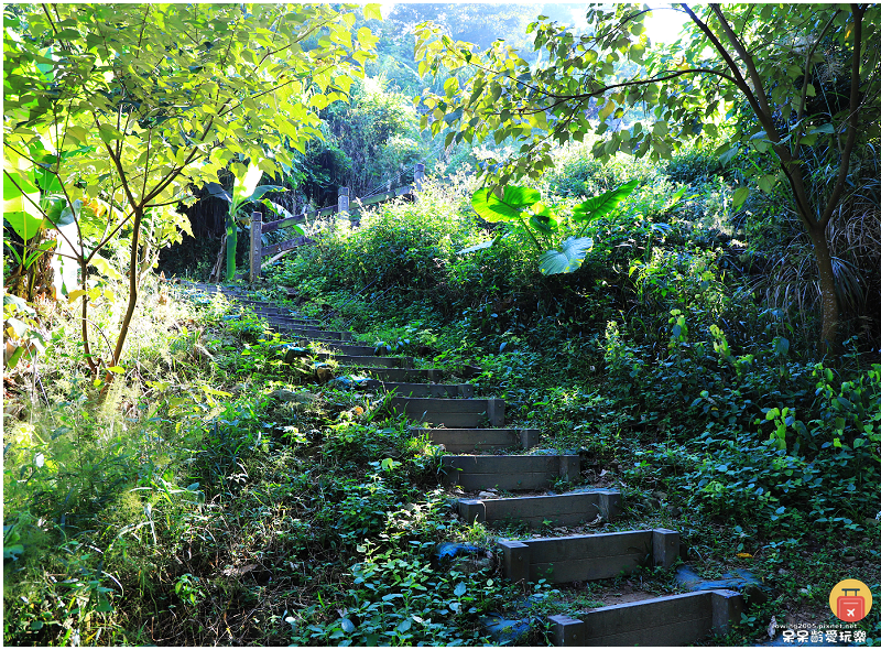 台南獅額山步道!絕美視野盡覽曾文水庫湖景!還能看到玉山主峰! 台南獅額山步道!絕美視野盡覽曾文水庫湖景!還能看到玉山主峰!