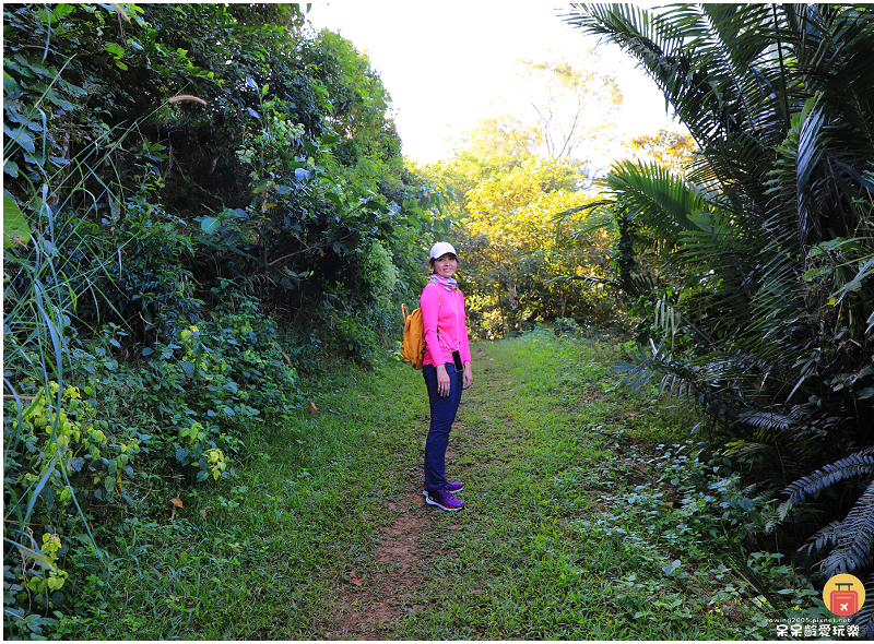 台南獅額山步道!絕美視野盡覽曾文水庫湖景!還能看到玉山主峰! 台南獅額山步道!絕美視野盡覽曾文水庫湖景!還能看到玉山主峰!