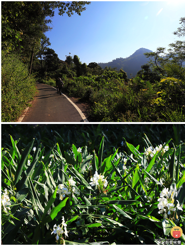 台南獅額山步道!絕美視野盡覽曾文水庫湖景!還能看到玉山主峰! 台南獅額山步道!絕美視野盡覽曾文水庫湖景!還能看到玉山主峰!