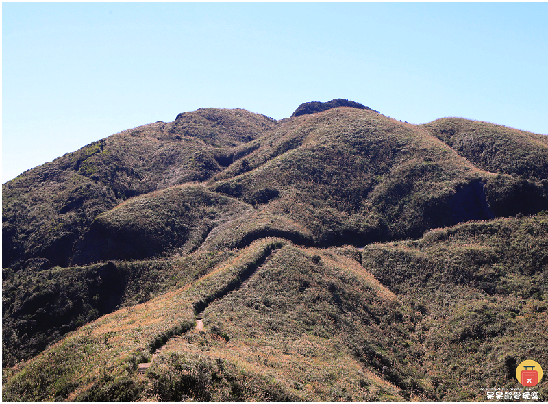 新北景點！半屏山步道！海拔705公尺！盡覽無耳茶壺山、基隆山