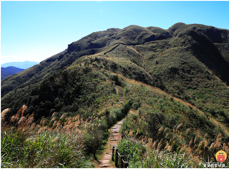 新北景點！半屏山步道！海拔705公尺！盡覽無耳茶壺山、基隆山