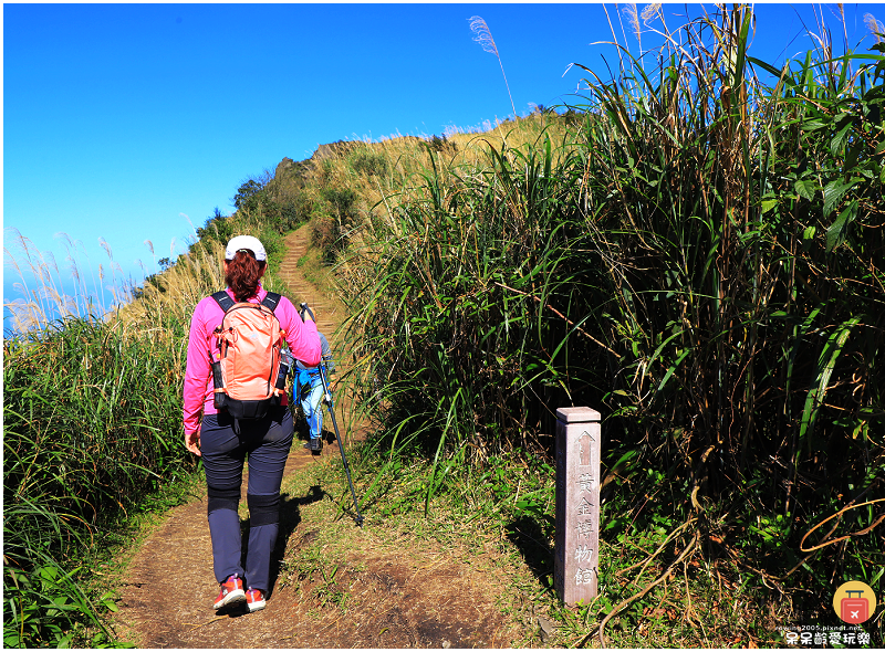 新北景點！半屏山步道！海拔705公尺！盡覽無耳茶壺山、基隆山
