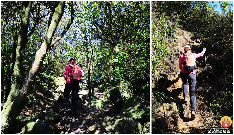 新北景點！半屏山步道！海拔705公尺！盡覽無耳茶壺山、基隆山