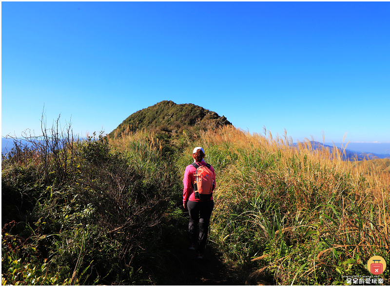 新北景點｜燦光寮山步道！全台視野最威之一等三角點！雪山山脈、