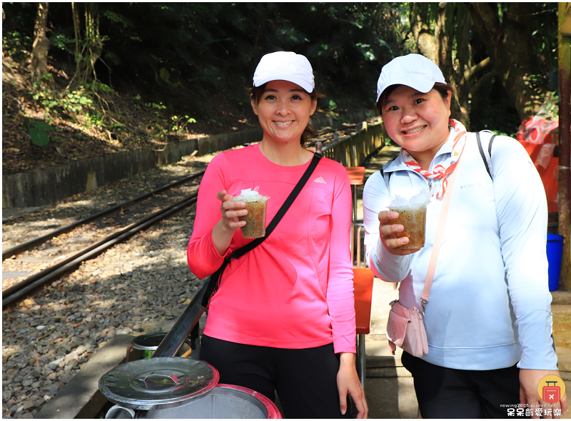 嘉義小百岳！獨立山步道！海拔840公尺！步道超酷穿越阿里山森