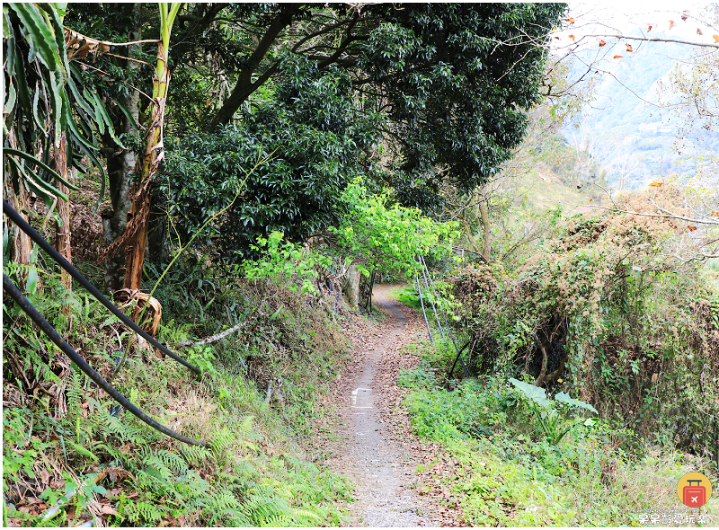 南投景點|望美山獵人古道!遠眺玉山群峰視野極佳!望鄉部落美景 南投景點|望美山獵人古道!遠眺玉山群峰視野極佳!望鄉部落美景
