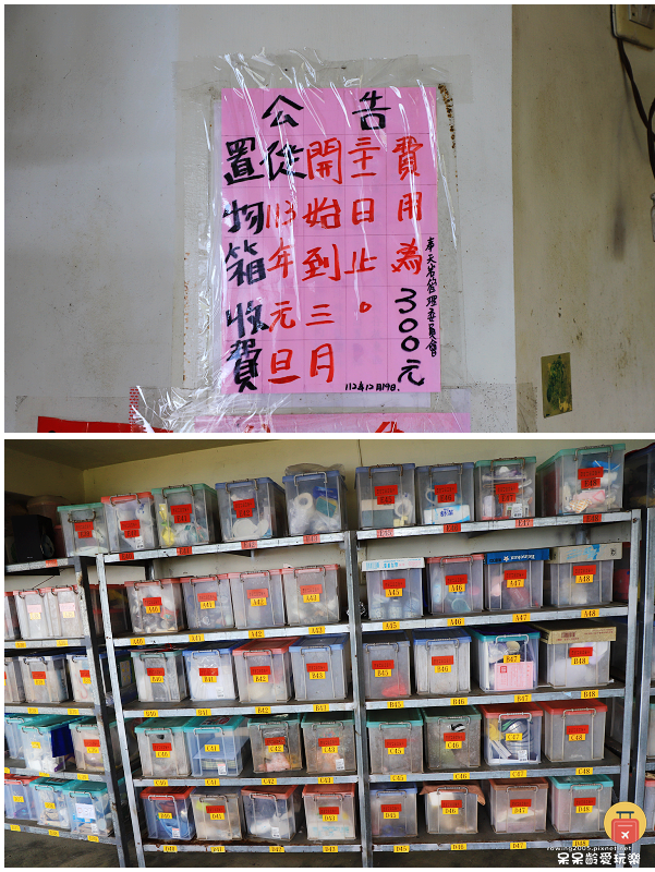 嘉義小百岳！獨立山步道！海拔840公尺！步道超酷穿越阿里山森