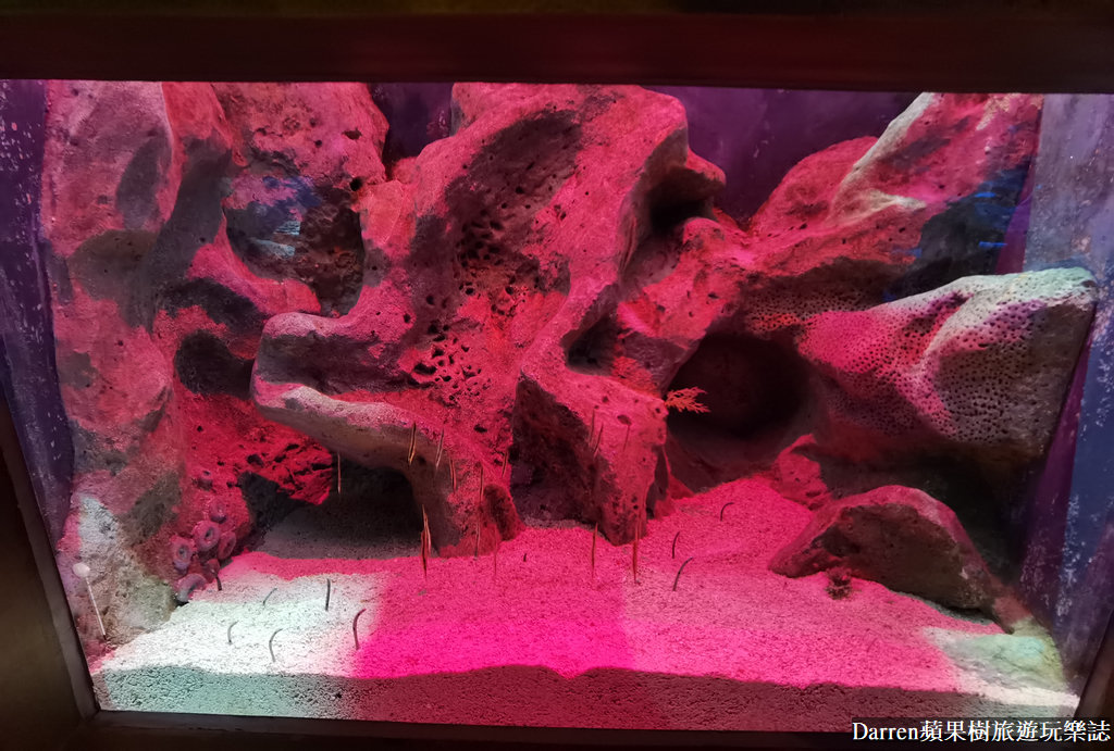 富國島景點,富國島攻略,富國島海龜水族館,富國島珍珠遊樂園,富國島必玩