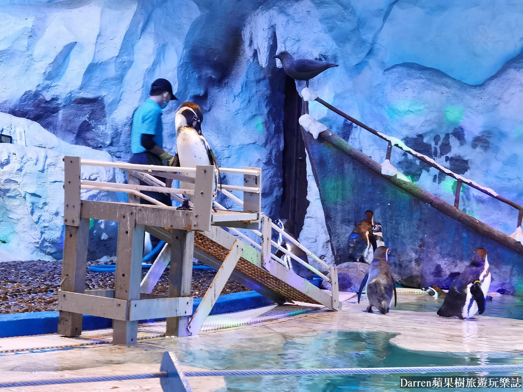 富國島景點,富國島攻略,富國島海龜水族館,富國島珍珠遊樂園,富國島必玩