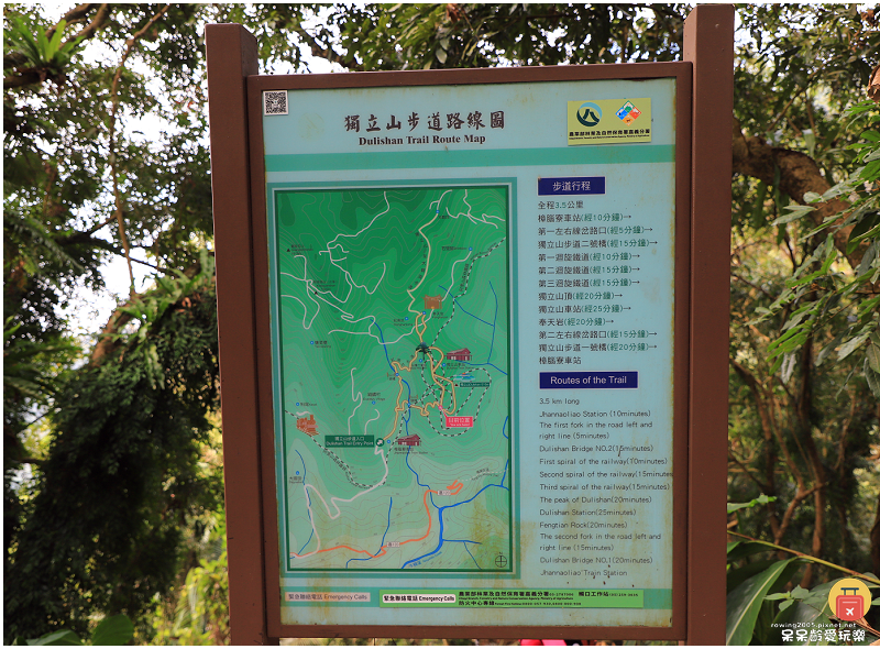 嘉義小百岳！獨立山步道！海拔840公尺！步道超酷穿越阿里山森