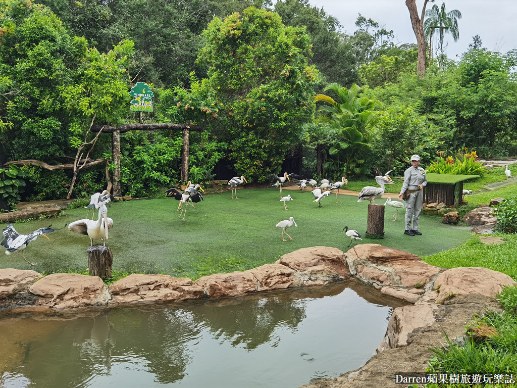 富國島動物園,富國島長頸鹿餐廳,富國島景點,富國島自由行,珍珠野生動物園,越南旅遊,富國島野生動物園