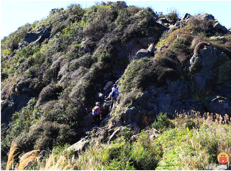 新北景點｜燦光寮山步道！全台視野最威之一等三角點！雪山山脈、