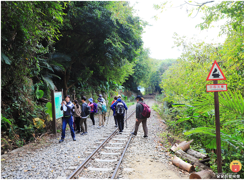 嘉義小百岳！獨立山步道！海拔840公尺！步道超酷穿越阿里山森