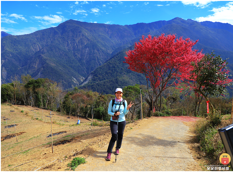 南投景點|望美山獵人古道!遠眺玉山群峰視野極佳!望鄉部落美景 南投景點|望美山獵人古道!遠眺玉山群峰視野極佳!望鄉部落美景