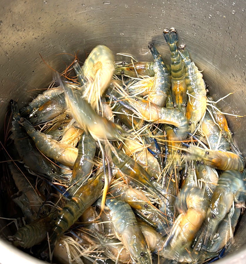 水明蝦 活蝦料理 台菜 高雄 泰國蝦 高雄美食 海鮮 敲敲魚 鹽焗 胡椒蝦 聚餐 聚會