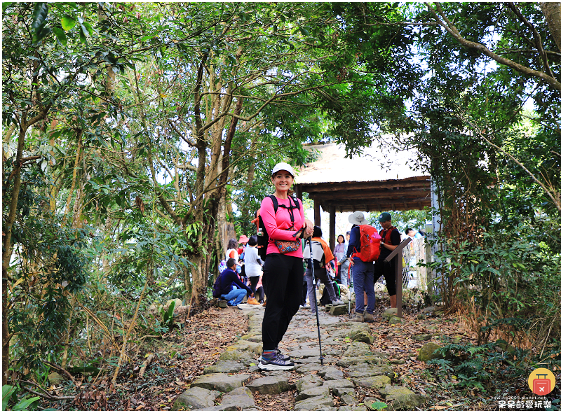 嘉義小百岳！獨立山步道！海拔840公尺！步道超酷穿越阿里山森