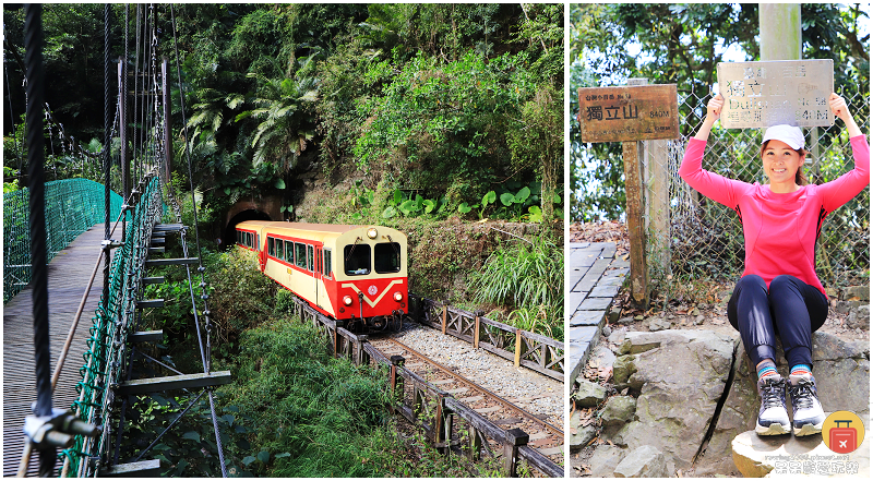 嘉義小百岳！獨立山步道！海拔840公尺！步道超酷穿越阿里山森