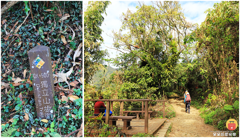 嘉義小百岳！獨立山步道！海拔840公尺！步道超酷穿越阿里山森