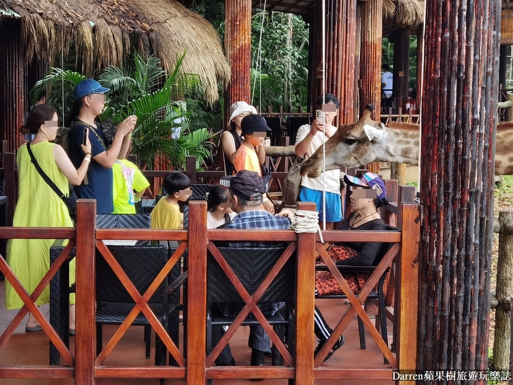 富國島動物園,富國島長頸鹿餐廳,富國島景點,富國島自由行,珍珠野生動物園,越南旅遊,富國島野生動物園