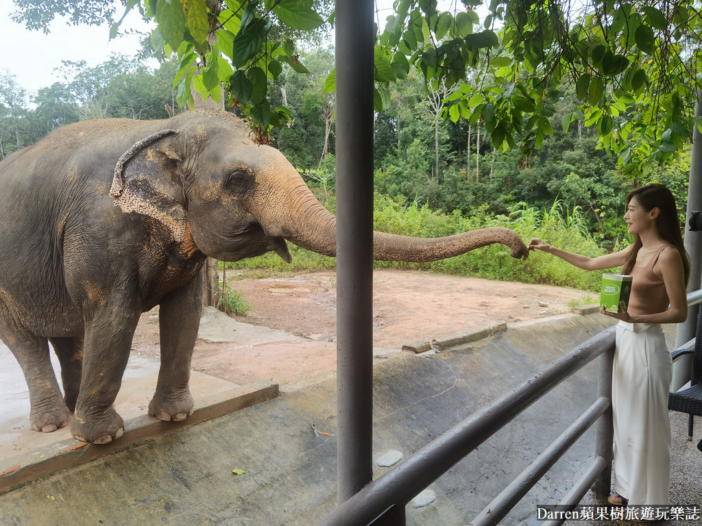 富國島動物園,富國島長頸鹿餐廳,富國島景點,富國島自由行,珍珠野生動物園,越南旅遊,富國島野生動物園
