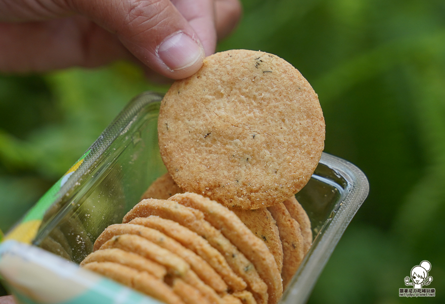  now on Cheese 伴手禮 台南 首度登場 餅乾 起司 起司夾心餅乾 東京車站 排隊人氣